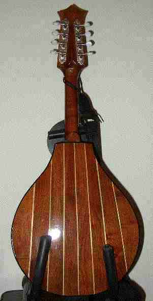 mandolin back